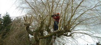 Garden Landscaping Cornwall