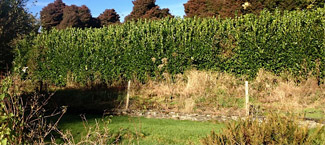 Garden Landscaping Devon