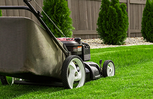 Garden Services Devon