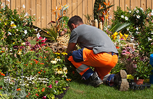 Garden Services Devon