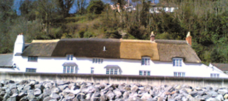 Thatchers Devon